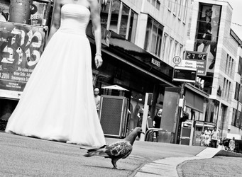 hochzeitsfotograf-fotograf-fulda-after-wedding-shooting-würzburg-carina-und-alex-11.jpg